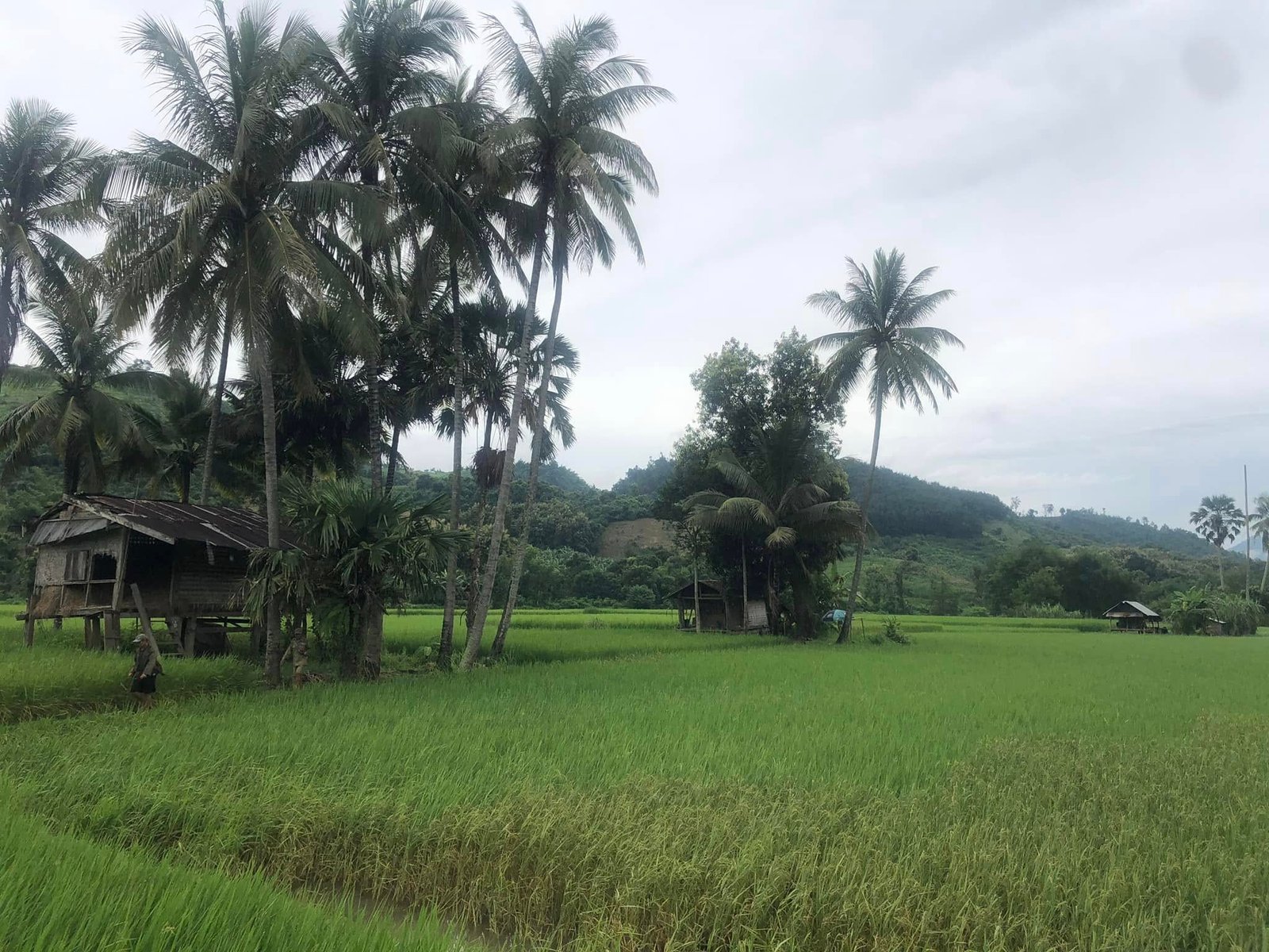 2 Days Biking Around Luang Prabang